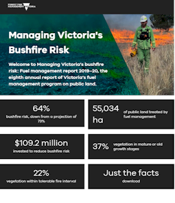 Fuel management report 201920